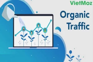 Organic traffic là gì